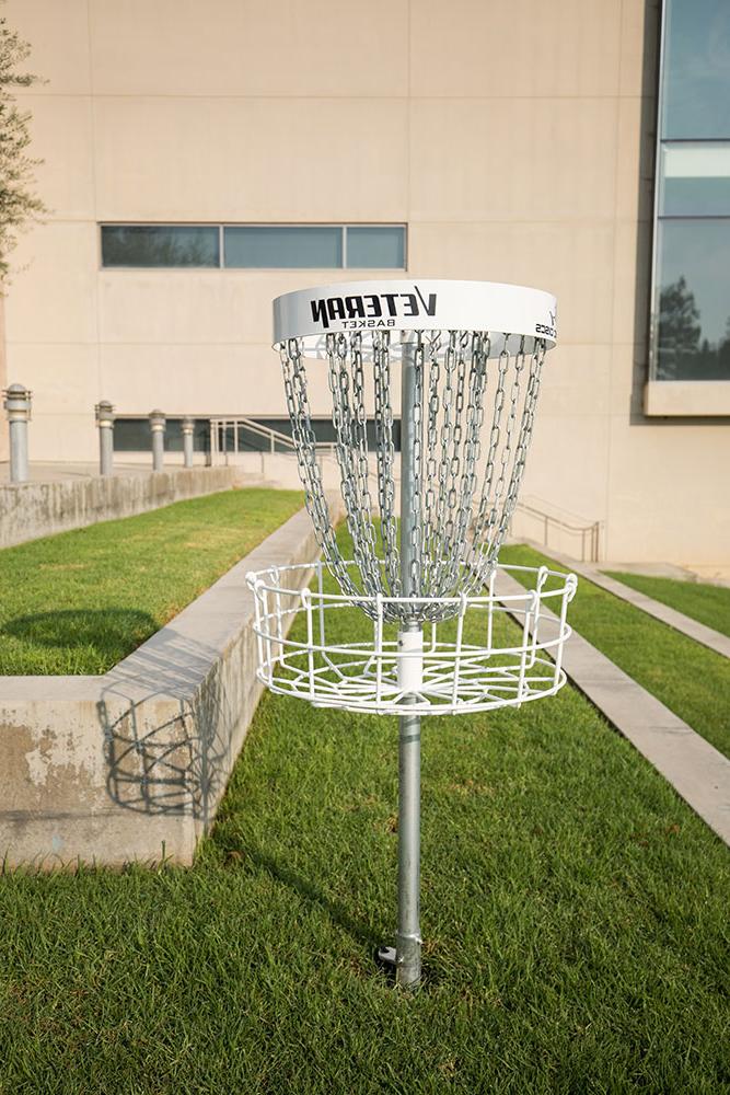 Close-up of disc golf basket